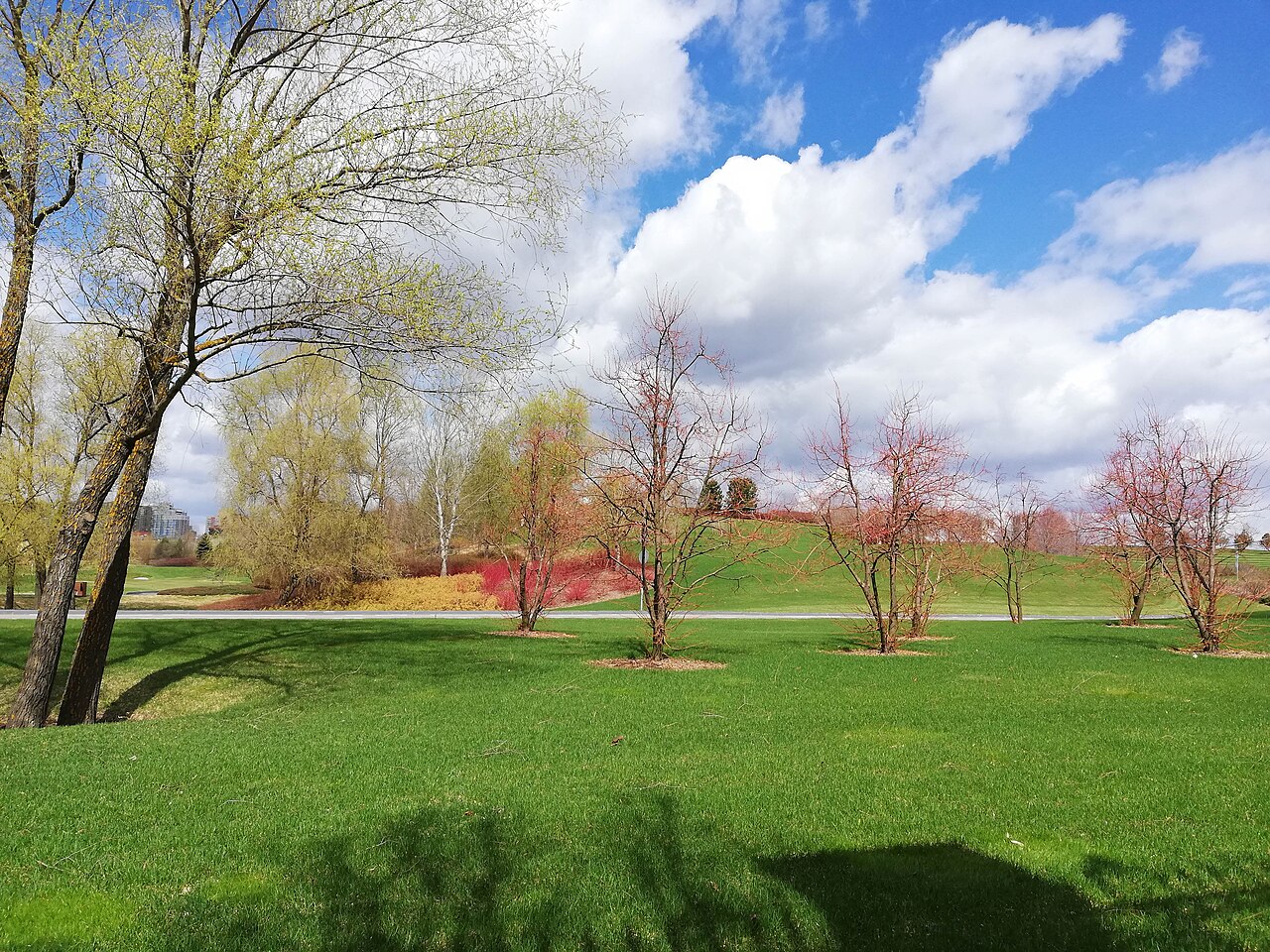 «Красота и здоровье» и Skolkovo Golf Club провели исследование и выяснили, что россияне используют спорт против стресса